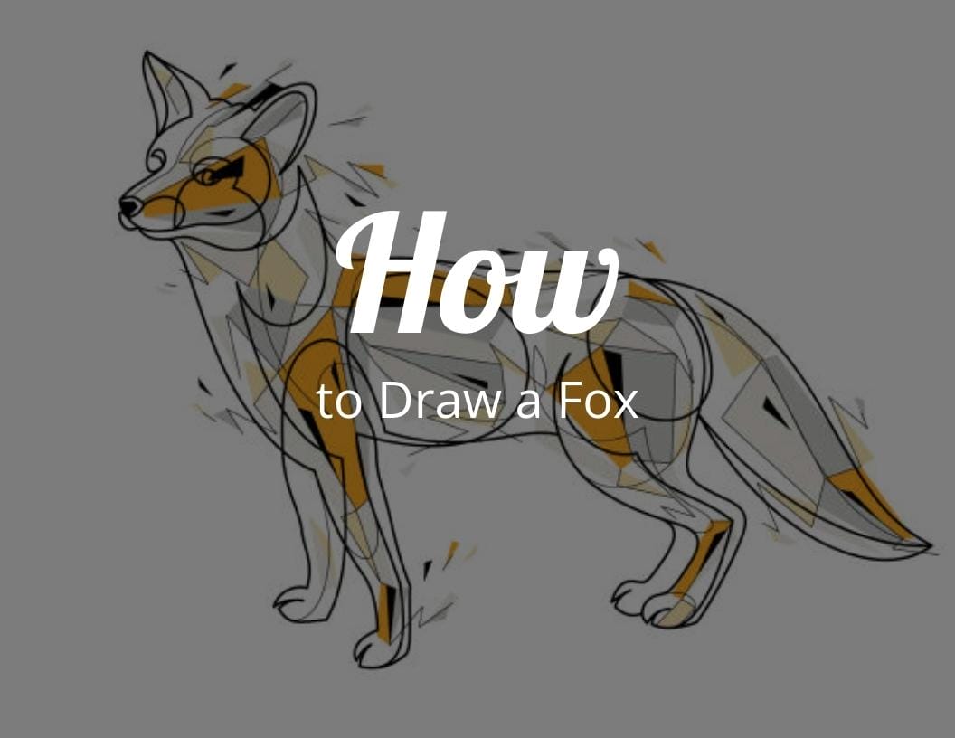 How to Draw a Fox (Step by Step) - CraftyThinking