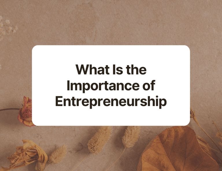 what is the importance of entrepreneurship