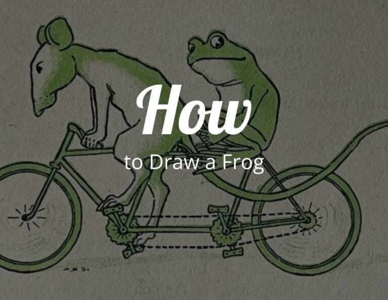 How To Draw a Frog (Step by Step)
