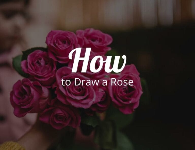 How To Draw a Rose (Step by Step)