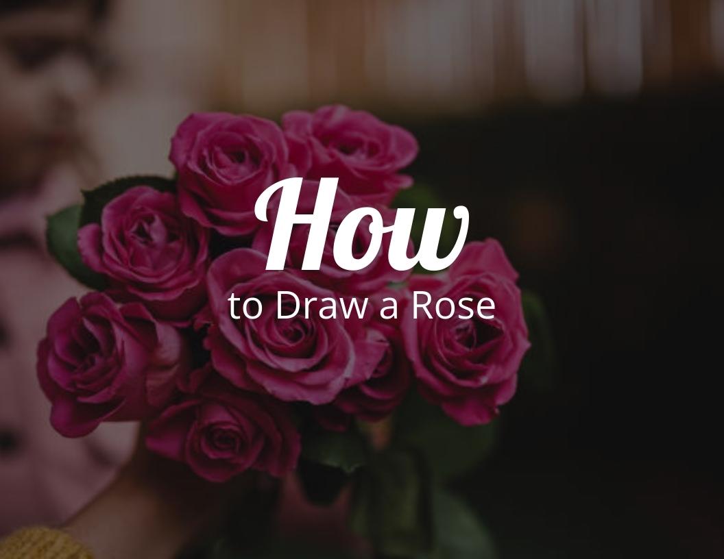 How To Draw a Rose
