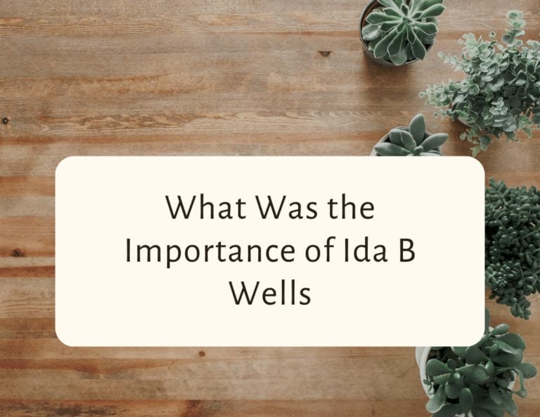 what was the importance of ida b wells