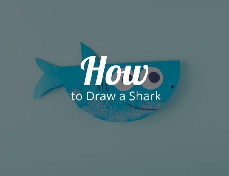 How To Draw A Shark (Step by Step)