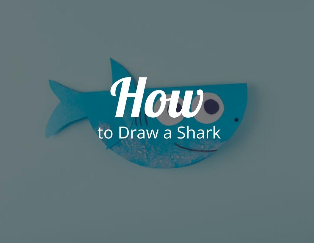 How To Draw A Shark