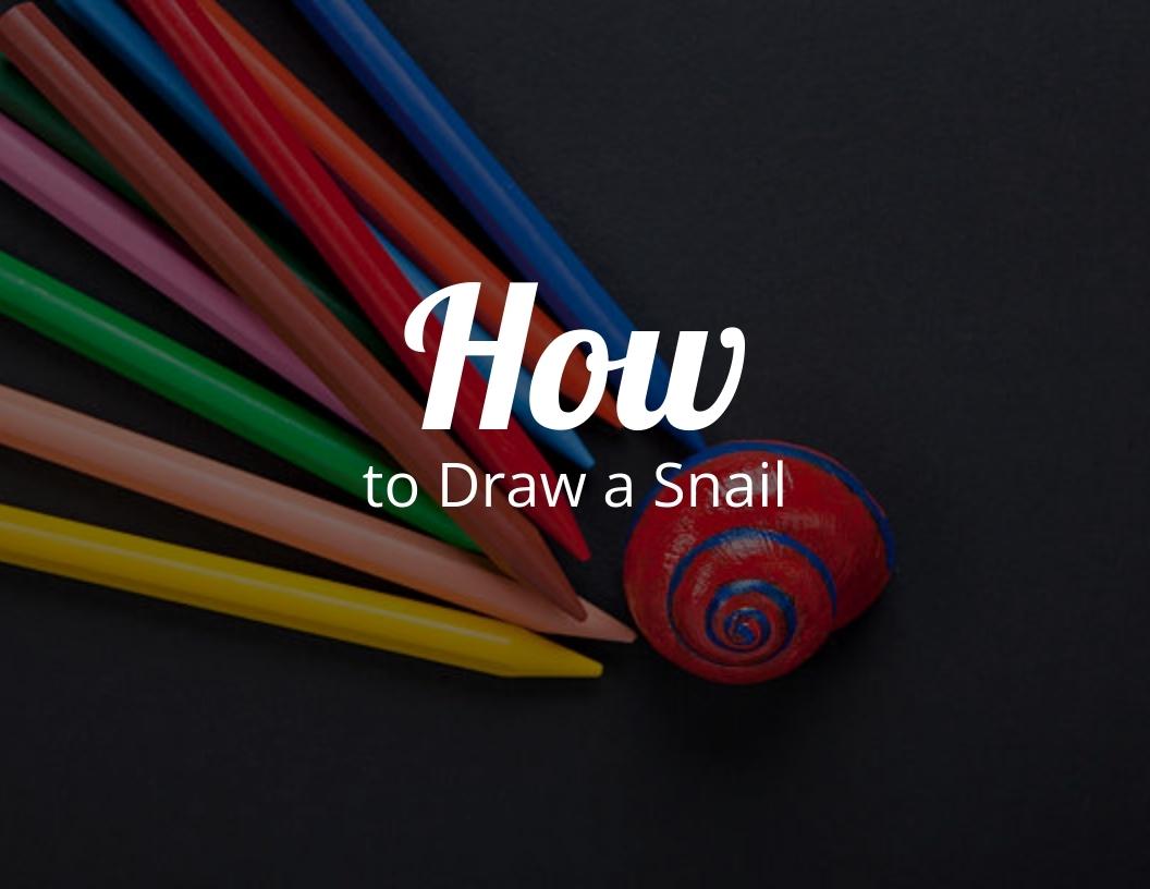 How To Draw a Snail