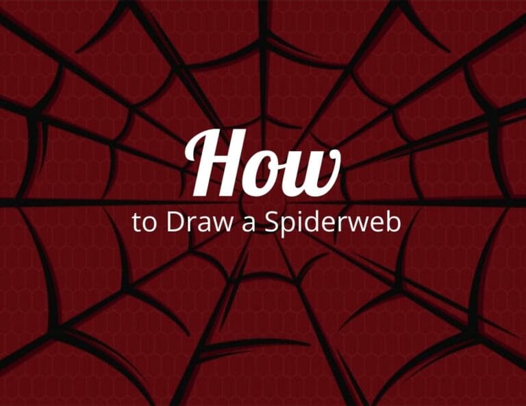How To Draw a Spiderweb (Step by Step)