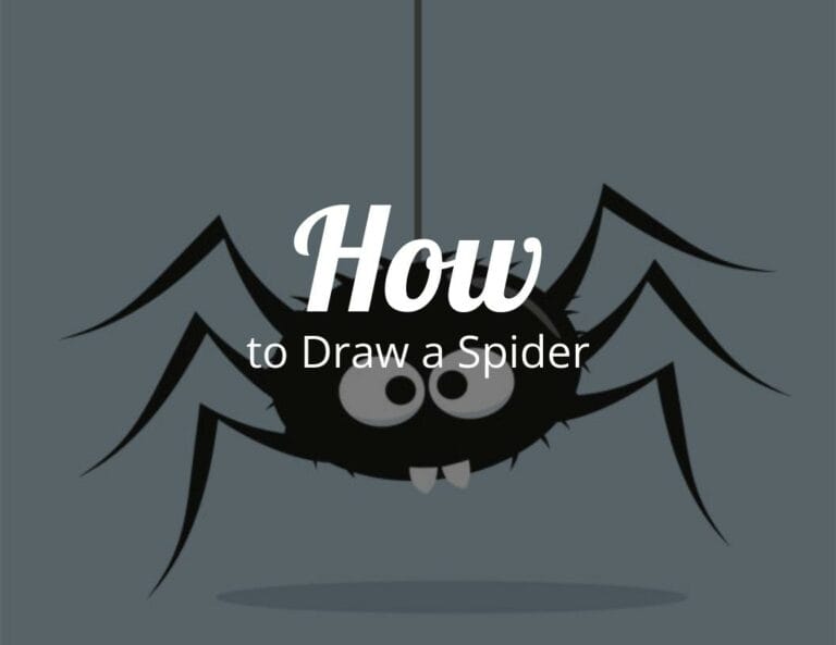 How to Draw a Spider (Step by Step)