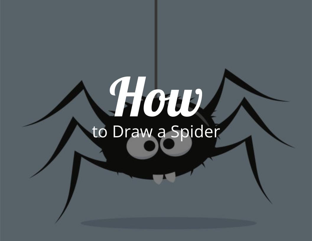 How to Draw a Spider Easy Step By Step Drawing Tutorials for Beginners –  UCIDraw - YouTube