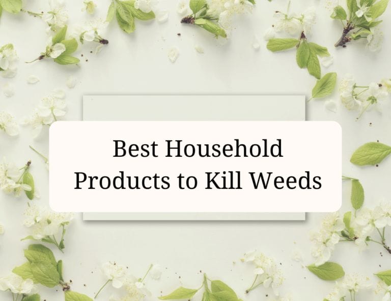 best household products to kill weeds