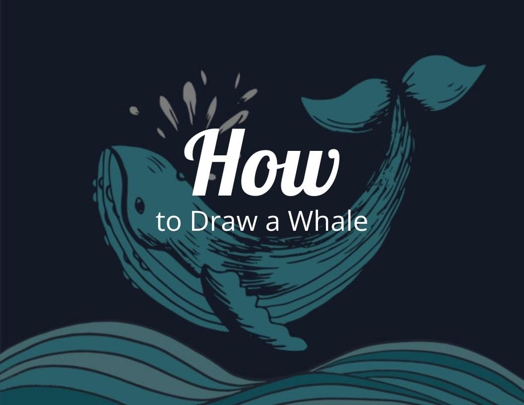 How To Draw A Whale Step by Step CraftyThinking