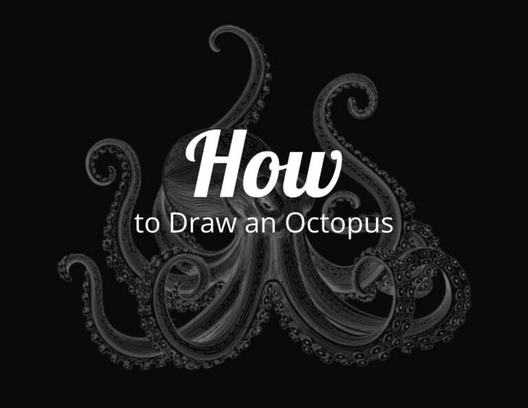 How To Draw an Octopus (Step by Step)