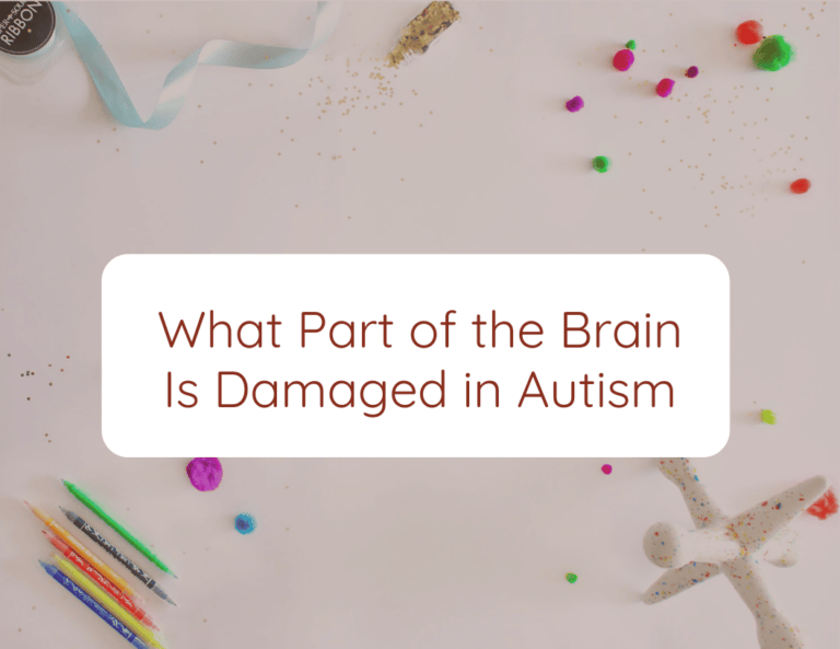 What part of the brain is damaged in autism?