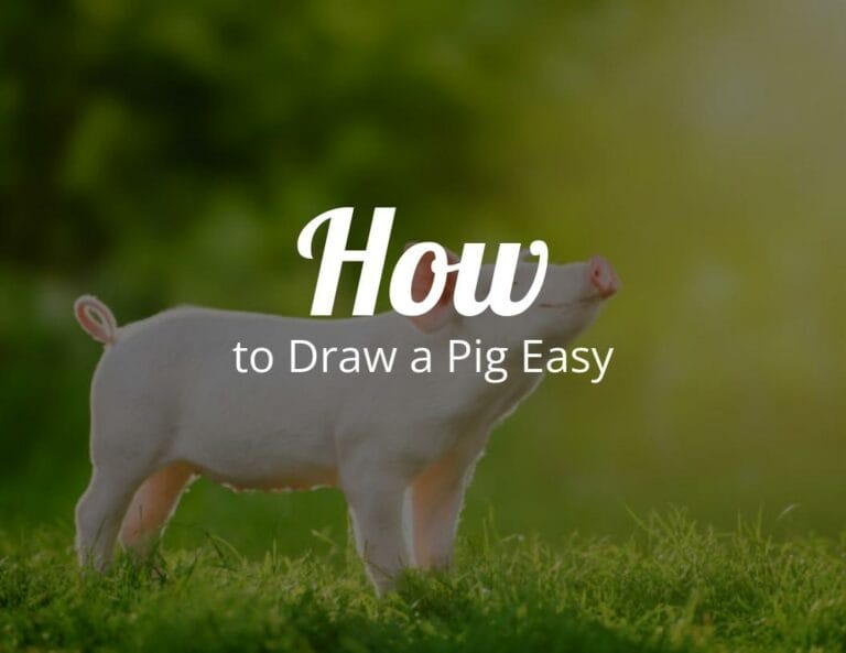 How to Draw a Pig Easy?