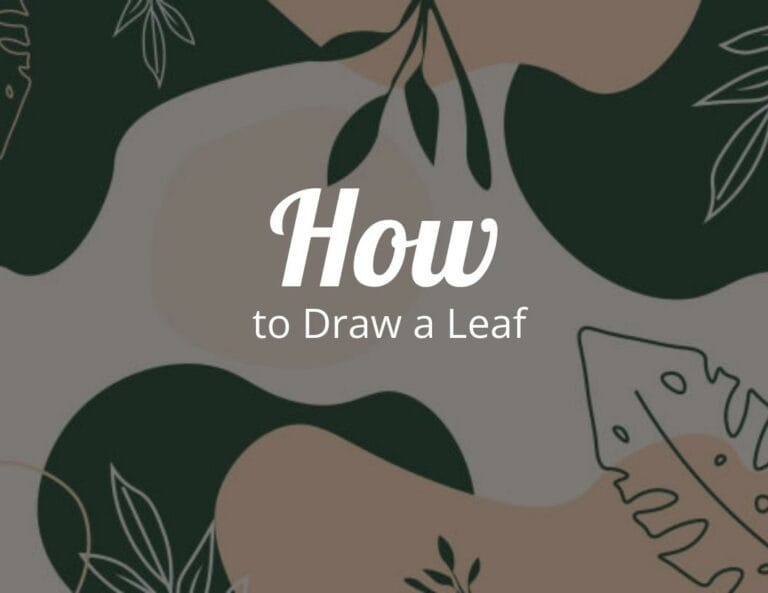 How to draw a leaf?