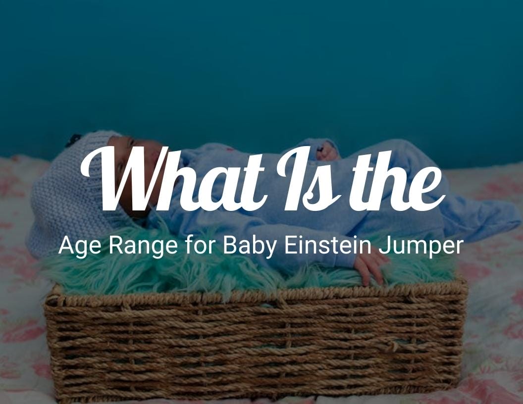 What is the Age Range for Baby Einstein Jumper