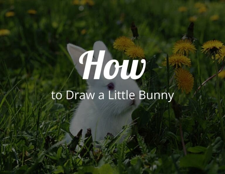 How to Draw a Little Bunny Step by Step With Free Bunny Template