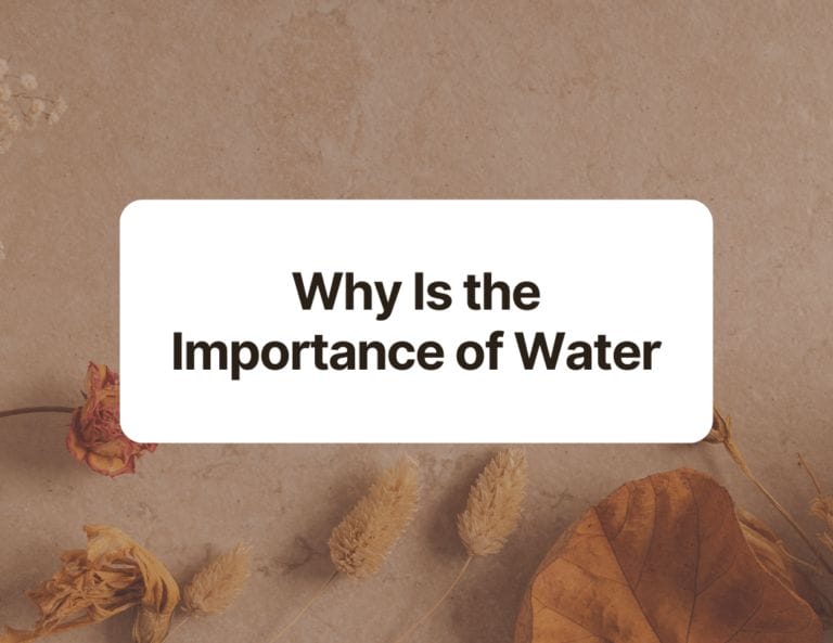 why is the importance of water
