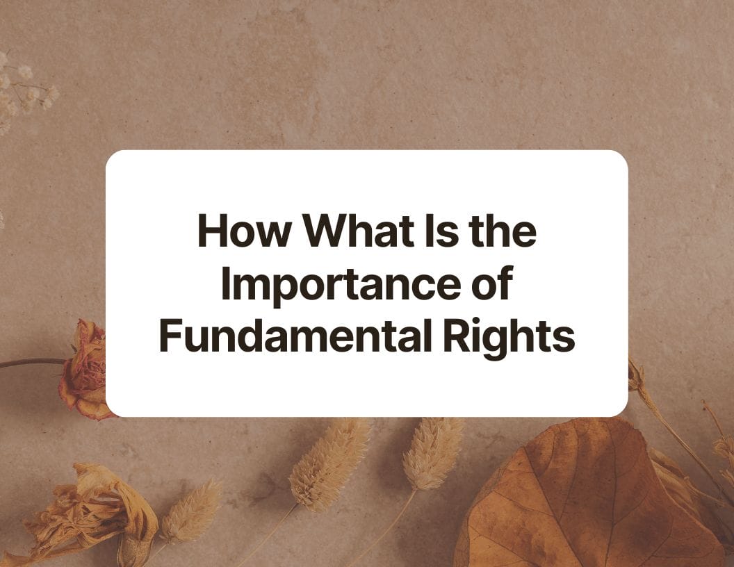 What Is the Importance of Fundamental Rights