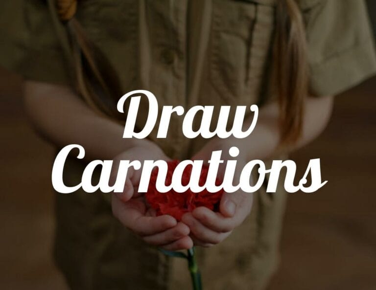Draw Carnations Step By Step with Free Carnation Printable