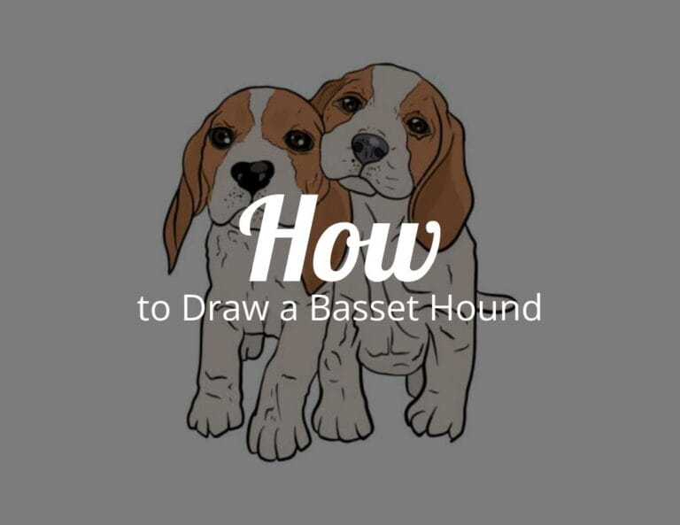 How to Draw a Basset Hound with Free Basset Hound Printable