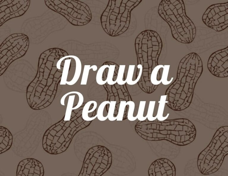 How to Draw a Peanut Step by Step with Free Peanut Printable