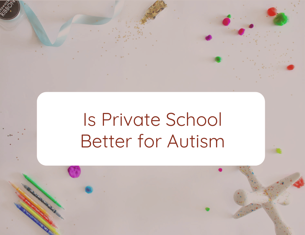 Is Private School Better for Autism
