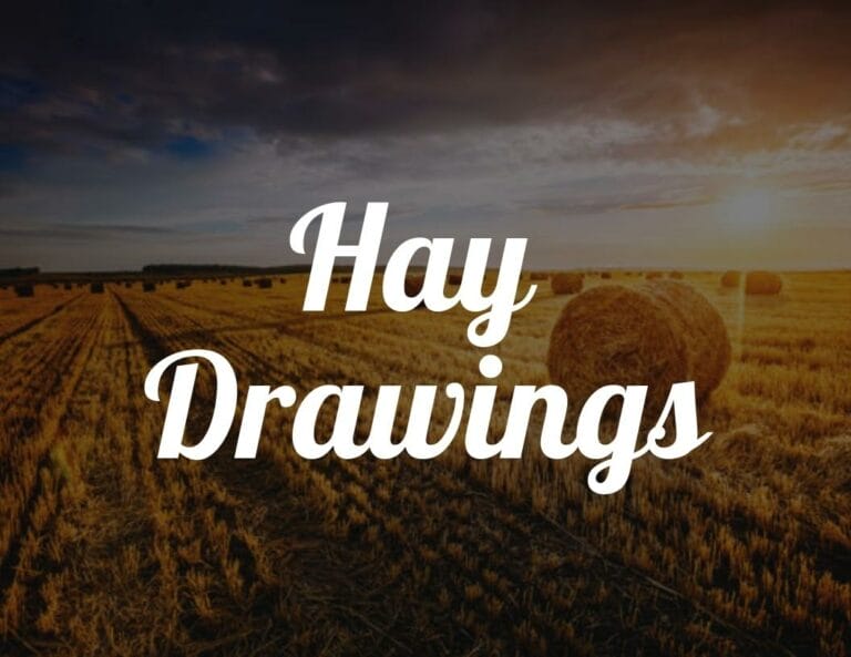 Fun Hay Drawings (How to Draw Hay) with Free Hay Printable