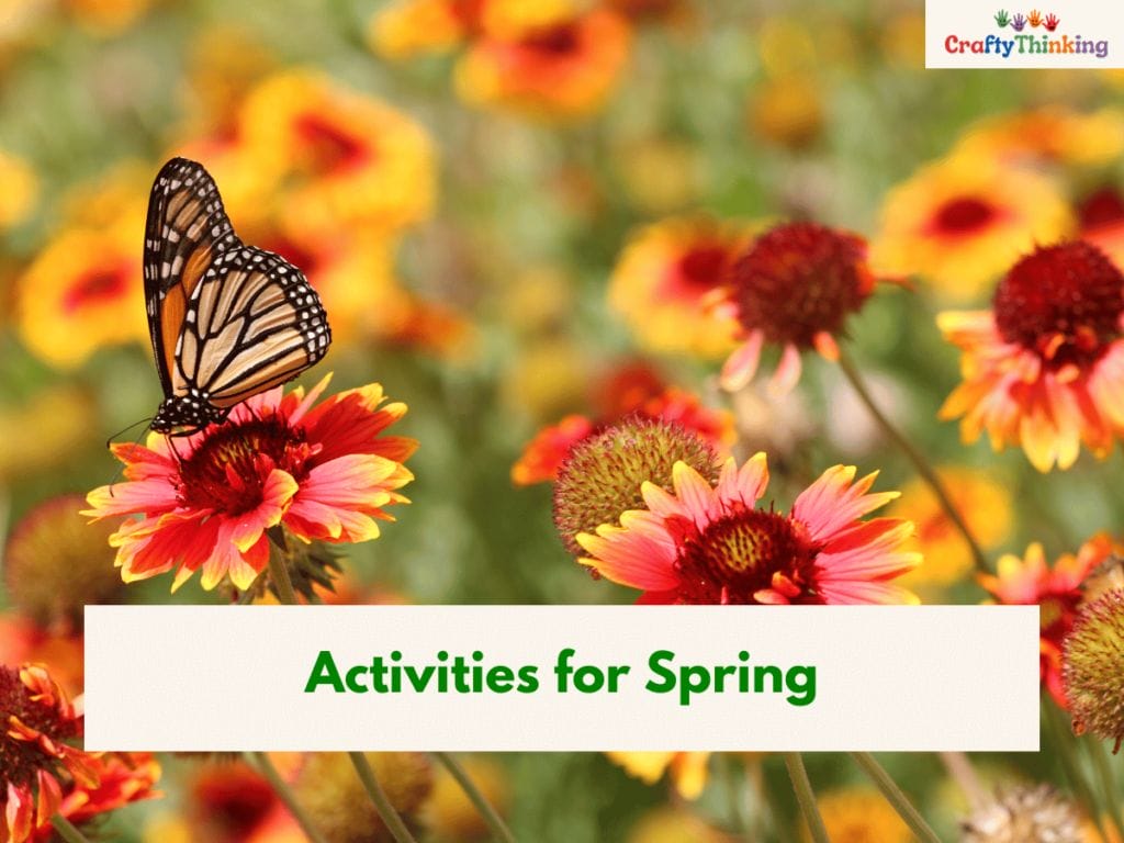 Activities for Spring