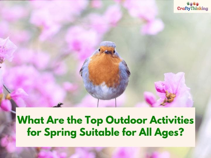 Activities for Spring