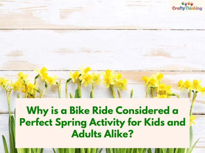 Activities for Spring