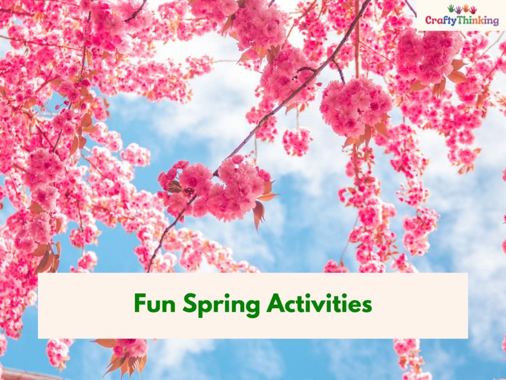 Activities for Spring