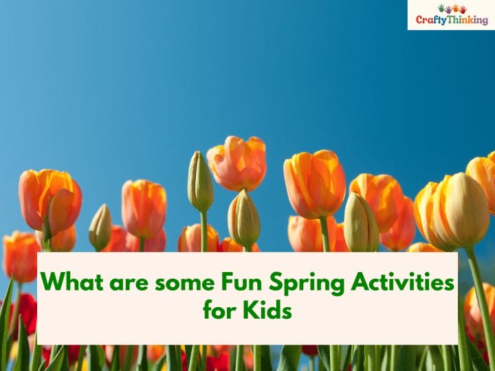 Activities for Spring