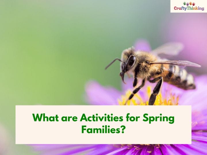 Activities for Spring