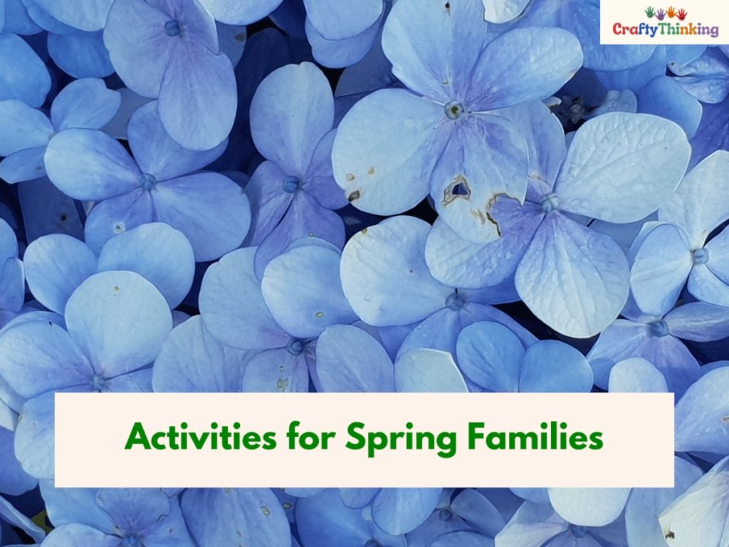 Activities for Spring