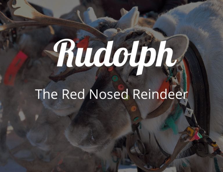 How to Make a DIY Paper Plate Rudolph the Red Nosed Reindeer