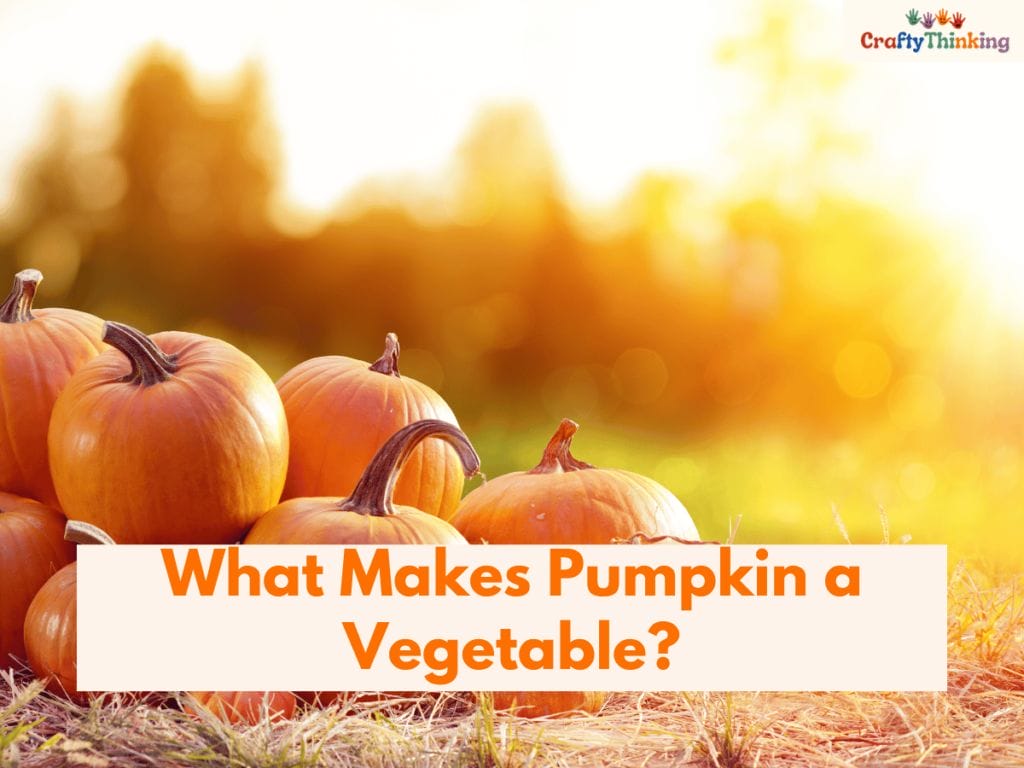 Is a Pumpkin a Fruit or a Vegetable