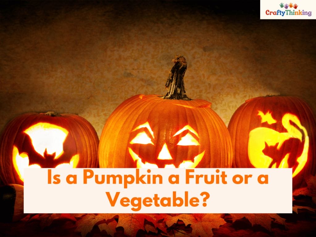 Is a Pumpkin a Fruit or a Vegetable