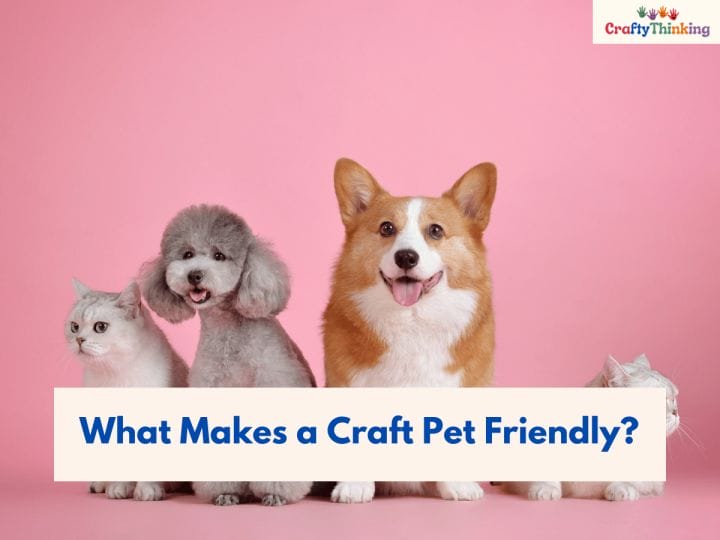 Crafts for Pets