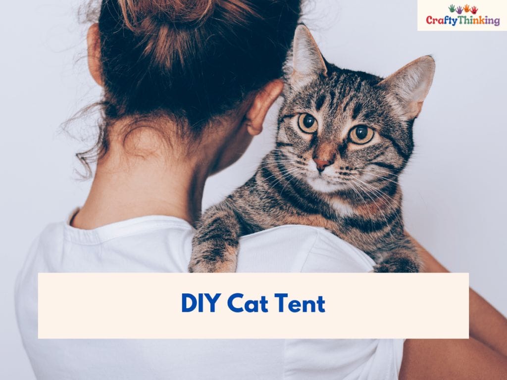 Crafts for Pets