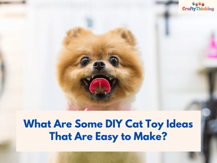 Crafts for Pets