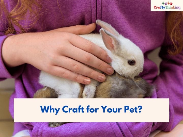 Crafts for Pets