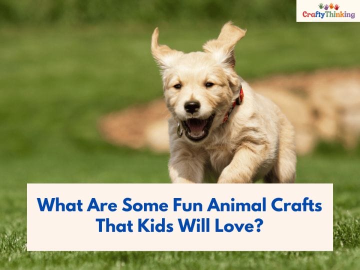 Crafts for Pets