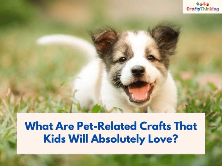 Crafts for Pets