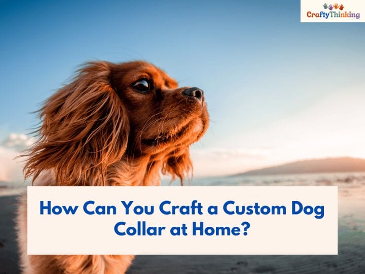 Crafts for Pets