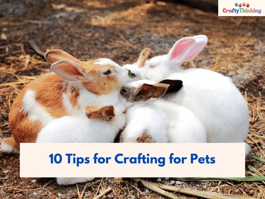 Crafts for Pets