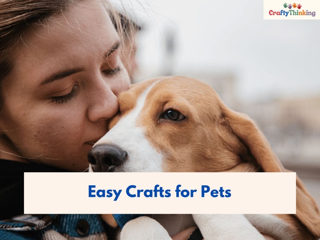 Crafts for Pets