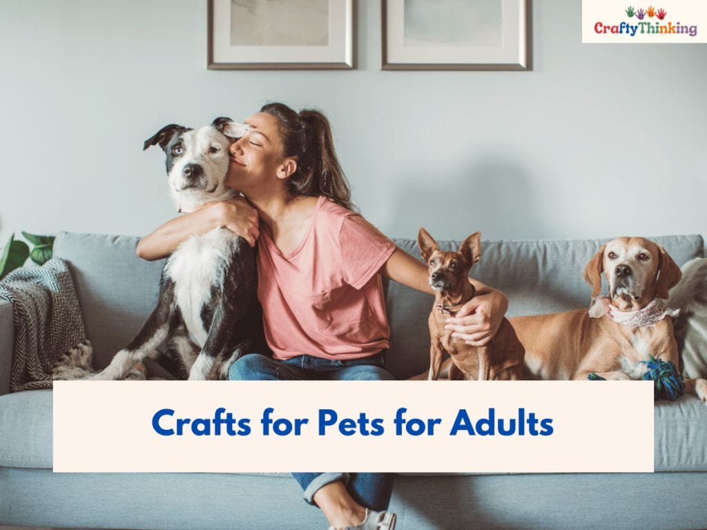 Crafts for Pets