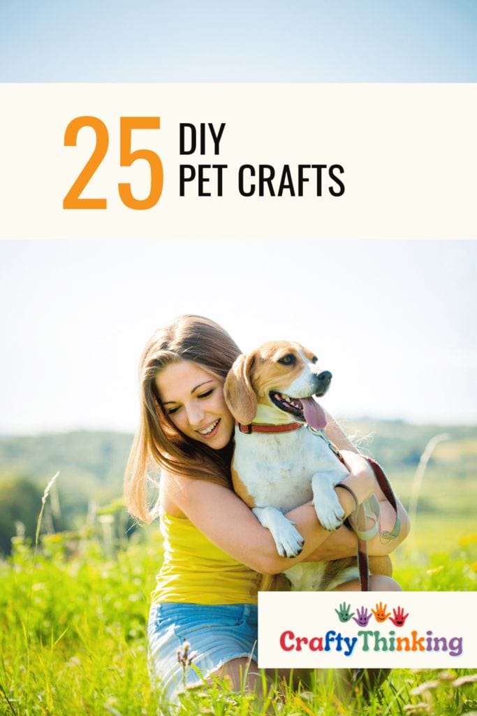 DIY Pet Crafts
