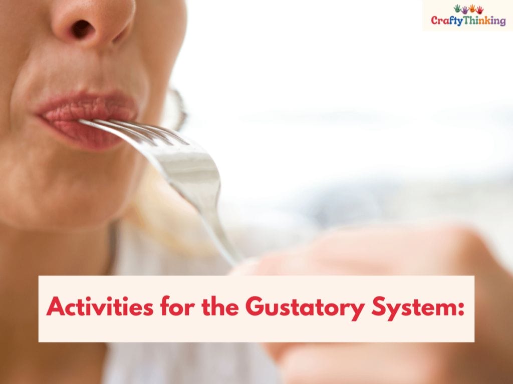 Gustatory Sensory