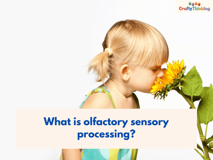 Olfactory Sensory
